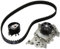 Ina 530019530 Kit Tendicinghia