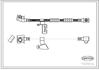 Corteco 19032658 Bremsschlauch vorne rechts | 19032658 Kompatibel mit Voyager II (es)