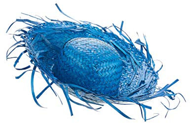 DEGUISE TOI - Chapeau Hawaï Bleu Adulte - Chapeau - Taille Unique - Bleu - Accessoires pour déguisement - Paille - - Carnaval