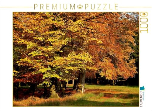 CALVENDO Puzzle Wundervoller Herbst! EIN Motiv aus dem Kalender Jahresringe - Bäume als Wegbegleiter | 1000 Teile Lege-Größe 64 x 48 cm Foto-Puzzle für glückliche Stunden