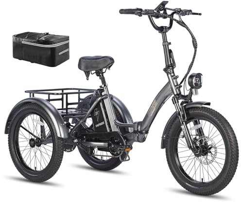 Fafrees E Bike Dreirad F20 Mate, Ebike Klapprad 20 * 3.0 Zoll, Lastenfahrrad für Erwachsene 48V 21Ah Akku, e Bike 3 Rad 65N.m, Dreirad für senioren (Kleiner hinterer Korb, Grau)