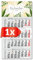 PRIMUS PRINT 4-Monats Einblockkalender 2025 - Wandkalender - Monatskalender mit Schieber - Blockkalender - inklusive Feiertagen - verschiedene Motive, verschiedene Sets - [ 1 x Grün-Gold ]