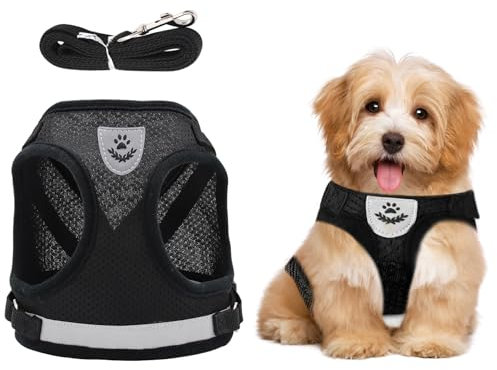 Verstellbare Brustgeschirr, Hundegeschirr mit Leine Reflektierend, Welpen Geschirr und Leine Sets, Hundegeschirr mit Leine Reflektierende Verstellbare Katzen Weste für Kleine Mittele Hunde Katzen (XS)
