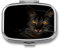 Schwarze Katze Tablettenbox 2 Fächern Morgens Mittags Abends Pillendose Für Medikamente Vitamine 5.5 cm