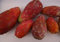 50 RED Opuntia Ficus Indica Seeds, nopal, Tuna Roja, Cactus del higo chumbo de frutas