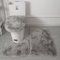 Lifup Badteppich Set 3 Teiliges, rutschfeste Shaggy Badematte, Flauschig Contour Badteppich, Langflor Toilettensitzbezug Tie Dye Grau 2