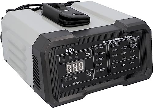 AEG Batterieladegerät CW20 lädt alle 6 V und 12 V Batterien, umfangreicher Sicherungsschutz, mit Ladestatusanzeige in%