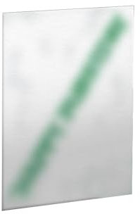 SEVENTEEN - 5TH ALBUM [HAPPY BURSTDAY] (Weverse album ver.)