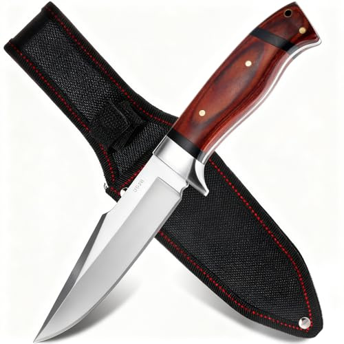 GER-SABER Outdoor Messer 22cm – Trailing-Point Klinge, Klassischer Handschutz aus Edelstahl, Buche-Griff mit Kontrast, Zuverlässiger Camping Begleiter