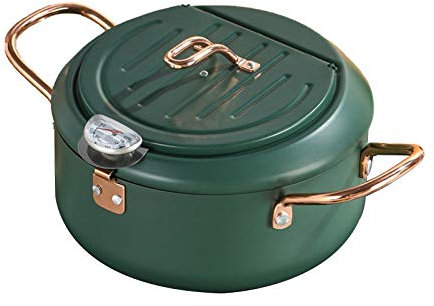 AIZYR Potable Deep Frying Pot with Thermometer and Lid, Mini Tempura Fryer Fry Pan with Drainer Rack for Frying Tempura, French Fries, Shrimp,20cm