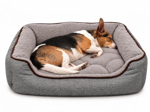 Hundebett 80 x 60 cm waschbar, weich gepolstert, rutschfest, Grau für Hunde | Komfortables Hundebett 80 x 60 cm mit Plüschbezug, stabilen Polsterrändern, rutschfester Unterseite & waschbarem Innenkissen.