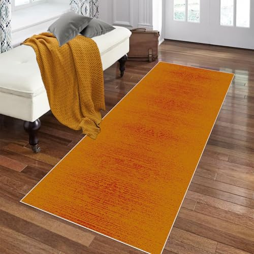 ZAJENKUB 70 x 100 cm Läufer Teppich für Flur Lang Küchenläufer rutschfest | Waschbar Korridor Teppich, Teppich Läufer, Küchenteppich, Schmutzfangmatte für Wohnzimmer Schlafzimmer Eingang
