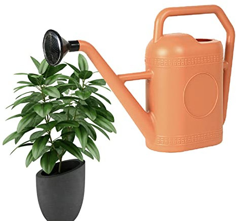 Gießkanne, 5L, Gießkanne Für Zimmerpflanzen, Langer Auslauf, Kleine Gießkanne Für Außenpflanzen, Sukkulenten, Kräutergarten, Blumen