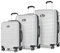 Andreas Dell Premium Reisekoffer 4 Rollen – Hartschalen Trolley Koffer Set, Leicht & Stabil, TSA-Schloss, Erweiterbar, Großes Fassungsvermögen – Perfekt für Urlaub & Geschäftsreisen (Silber)