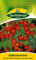 Tomate 'Balconi Red', 1 Tüte Samen