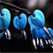 Neue 100 PC Dicentra Spectabilis herzförmige Blumensamen für schönen Garten blau