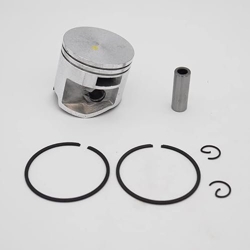 SEEDDFF Anillo de Pasador de pistón de 44mm Apto for Stihl MS251 MS 251, Herramienta de Repuesto for Motosierra de jardín