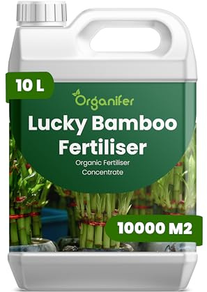 Engrais liquide organique 10L pour Bambou chanceux – vitalité et floraison abondante – Organifer