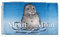 Flagge Moin Moin Seehund - 90 x 150 cm
