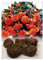 GARTHWAITE NURSERIES® : - UK Stockist : - 5 Orange Pendula/Trailing Begonias Tuberous Bulbs/Corms for Garden/Hanging Baskets & Tubs Stunning Summer Plant