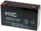 Melchioni Batteria al Piombo 6 Volt 12 Ampere