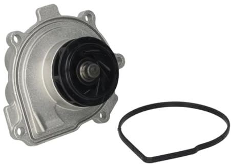 Hepu P363 Wasserpumpe