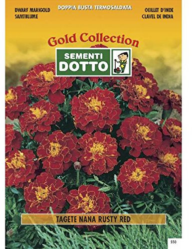 Semi di TAGETE Nana Rusty Red - h cm 25