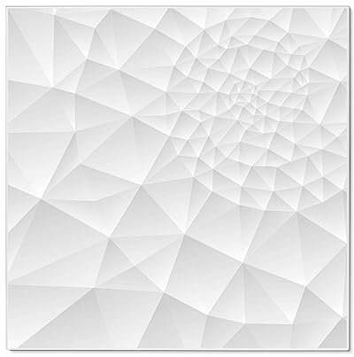 banjado® Magnettafel 50 x 50 cm/Magnetwand aus Metall/Magnetpinnwand als Memoboard/Pinnwand Magnettafel Küche, Büro, Kinderzimmer inkl. 4 Magnete & Montageset - Motiv Nautilus