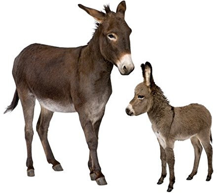 apalis Wandtattoo No.721 The Donkey Family Tiere Esel Bauernhof Kinder Pferde