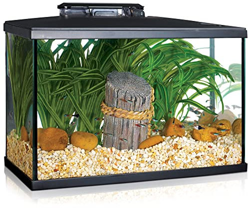 Marina LED-Aquarium-Set, 5 Gallon