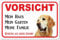 AdriLeo Schild - Vorsicht Golden Retriever - Mein Haus - (20x30cm) / Achtung Hund Wachhund robust langlebig UV-beständig wetterfestes Warnschild