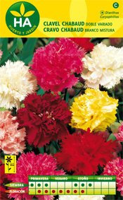 SEMILLAS FLOR CLAVEL CHABAUD VARIADO SOB
