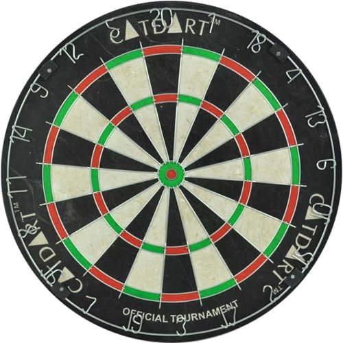 Catdart Bristel Turnier - Dartboard