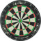 Catdart Bristel Turnier - Dartboard