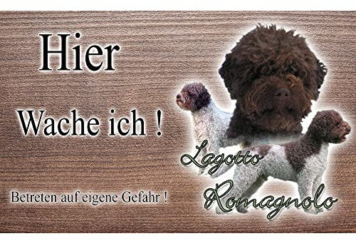 hier wache ich hund Lagotto Romagnolo 29/18 cm