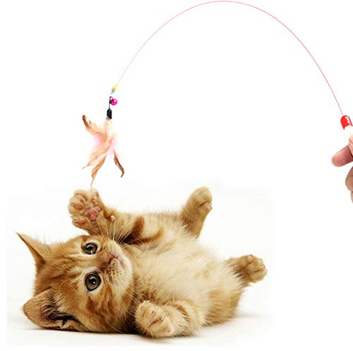 DIGIFLEX Cats Bouncy Rod with Bell and Feathers 36 - Interactive Playing Teaser Toys for Cats & Kittens