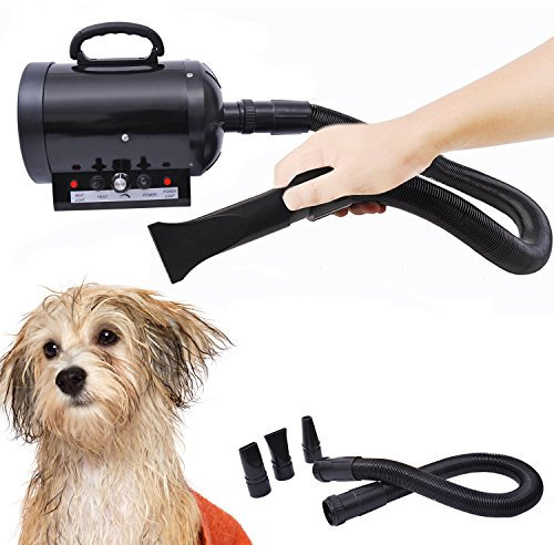 HOMCOM PawHut Secador de Pelo para Perros 2800W Soplador de Agua para Mascotas con Temperatura y Velocidad del Viento Ajustable 3 Boquillas Tubo Flexible 2,5 m y Asa Portátil 40x16x20 cm Negro