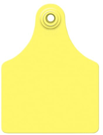 ALLFLEX USA GLF/GSMY 115451 Ear Tag, Blank, Yellow, Large