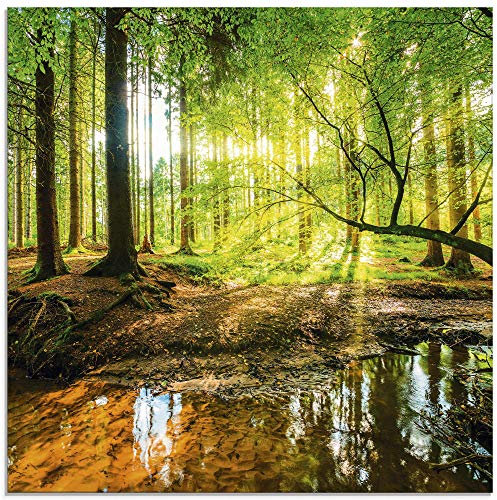 ARTland Wanddeko Glasbilder Wandbild Glas Bild einteilig 40x40 cm Quadratisch Wald Natur Landschaft Bäume Bach Sonne Frühling T9IO