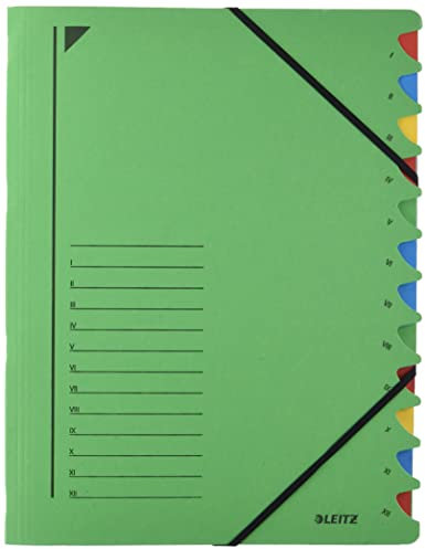 Leitz 39120055 Ordnungsmappe, 12 Fächer, Colorspankarton, grün