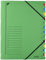 Leitz 39120055 Ordnungsmappe, 12 Fächer, Colorspankarton, grün