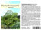Seedeo Fischschwanzpalme Caryota mitis 10 Samen