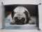 Homestreet Serviertablett aus Kunstleder mit stilvollem Design mops