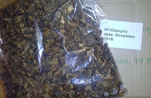 1,0 kg Netto Seidenraupen getrocknet - ideal als z. B. Koifutter oder Fischfutter - Proteinfutter in Spitzenqualität zum kleinen Preis!