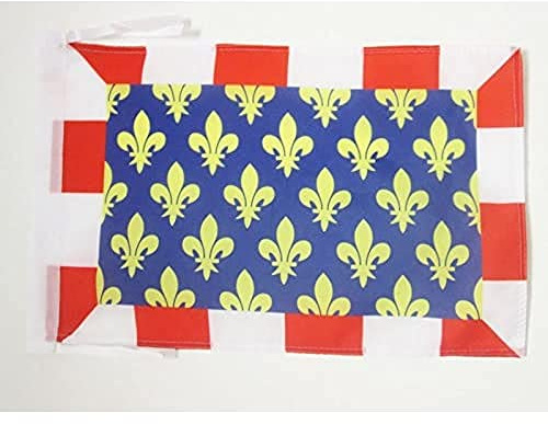 AZ FLAG French Department of Indre-et-Loire Flag 45x30 cm Cords