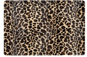 Bazoo selbstklebende Notebook-Dekofolie Leopard für Notebooks bis 30 cm / 12 Zoll