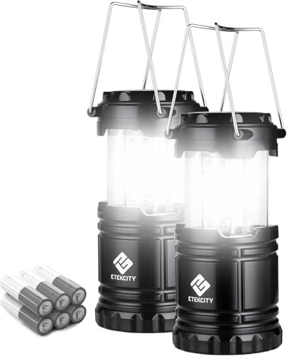 Etekcity Camping Lantern Battery Powered LED for Power Outages, Emergency Light for Hurricane Supplies Survival Kits, Operated Lamp, Camping Gear Accessories Essentials, 2 Pack