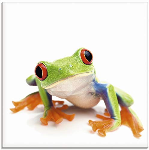 ARTland Wanddeko Glasbilder Wandbild Glas Bild einteilig Quadratisch Natur Tiere Frosch Laubfrosch Porträt mit weißem Hintergrund T5WY