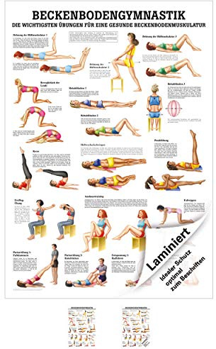 Sport-Tec Beckenbodengymnastik Lehrtafel Anatomie 100x70 cm medizinische Lehrmittel