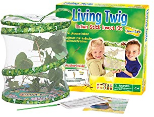 Living Twig Stick Insect Kit